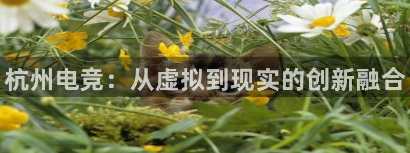 安博电竞官网入口：杭州电竞：从虚拟到现实的创新融合