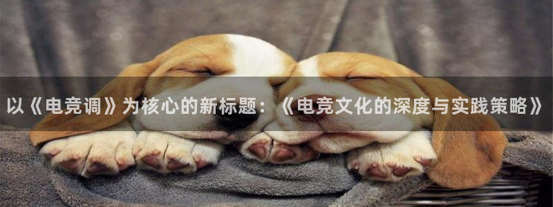 安博电竞地址查询：以《电竞调》为核心的新标题：《电竞文化的深度与实践策略》