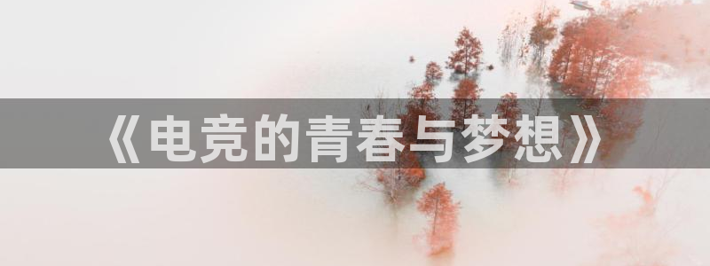 安博电竞主页官网下载安装：《电竞的青春与梦想》