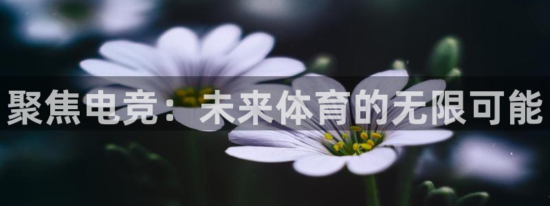 安博电竞网上官网是正品吗：聚焦电竞：未来体育的无限可能