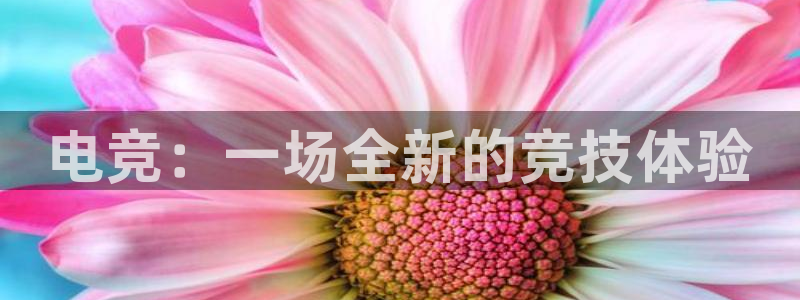 安博电竞app官网下载安卓版：电竞：一场全新的竞技体验