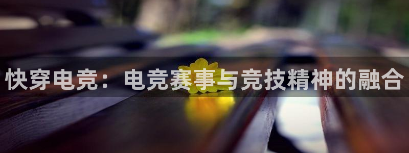 安博电竞最新地址：快穿电竞：电竞赛事与竞技精神的融合