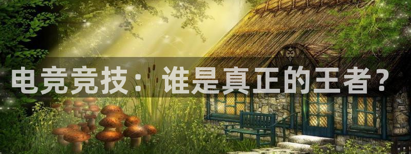 安博电竞怎么进去：电竞竞技：谁是真正的王者？