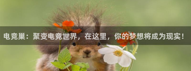 安博电竞 哪个国家：电竞巢：聚变电竞世界，在这里，你的梦想将成为现实！