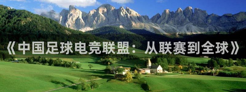 安博电竞app安卓版：《中国足球电竞联盟：从联赛到全球》