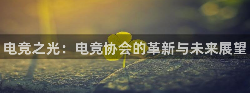 安博电竞下载app：电竞之光：电竞协会的革新与未来展望
