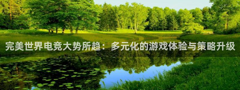 安博电竞官网登录不了：完美世界电竞大势所趋：多元化的游戏体验与策略升级