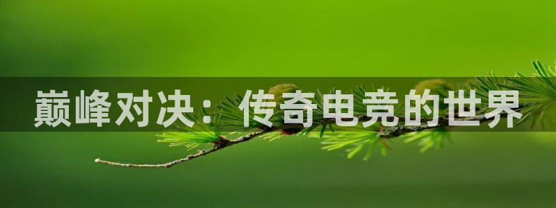 安博电竞平台客服电话：巅峰对决：传奇电竞的世界