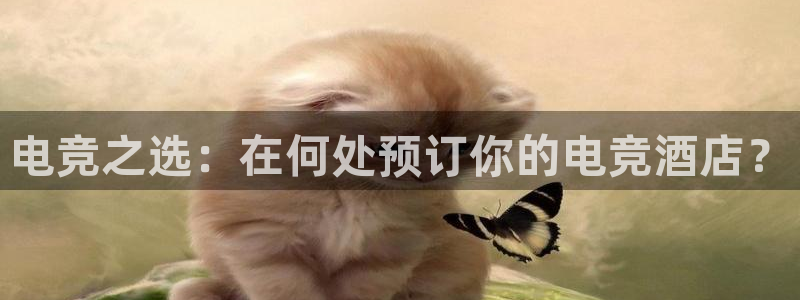 安博电竞黑：电竞之选：在何处预订你的电竞酒店？