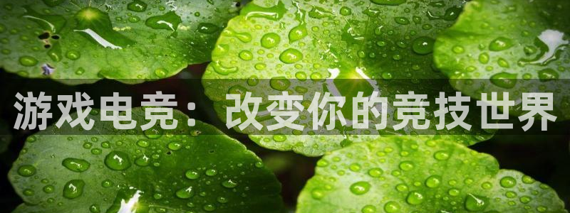 安博电竞app官网下载安卓版：游戏电竞：改变你的竞技世界