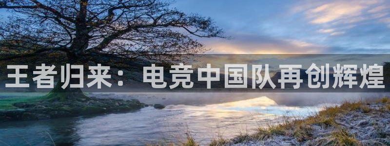 安博电竞主页官网下载安装：王者归来：电竞中国队再创辉煌